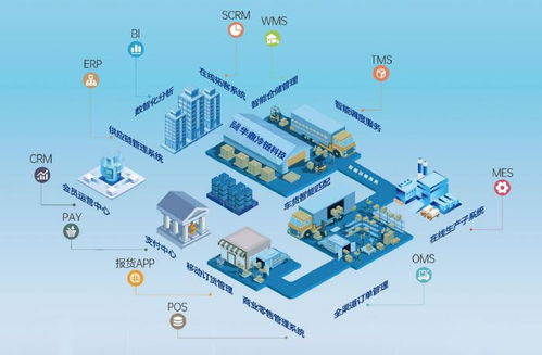 上海冷鏈物流公司競相角逐，以技術(shù)服務(wù)驅(qū)動行業(yè)多元競爭與輝煌